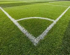 马立军疑似,对杨鸣言辞,激烈,中国彩民之家网,中国彩民之家网首页,中国彩民之家网首页官方