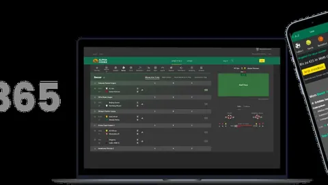 “老年健身风潮：体育激情的燃点”